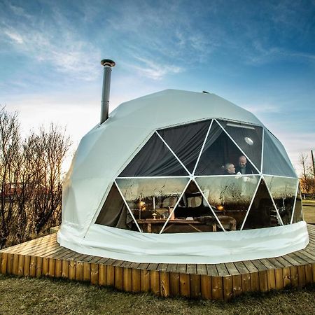 Reykjavik Domes Hotell Eksteriør bilde