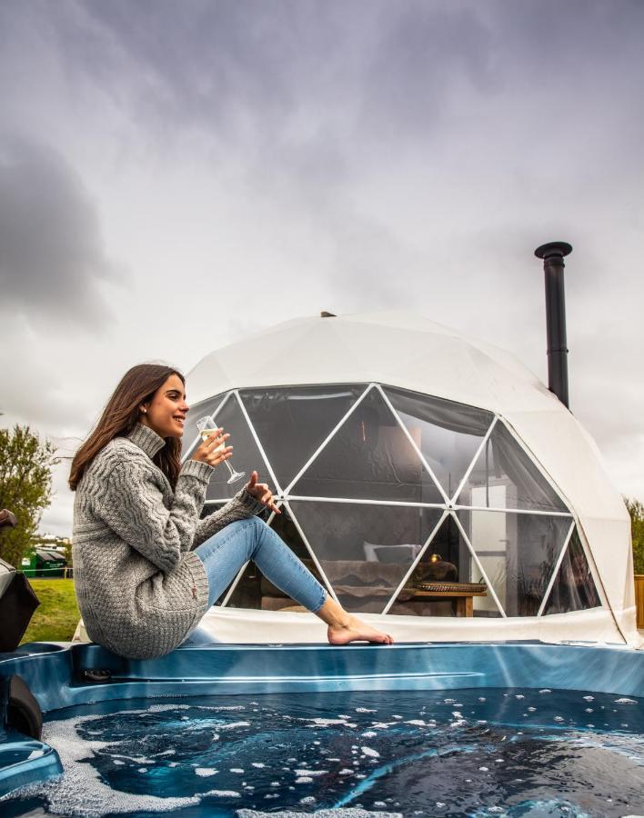 Reykjavik Domes Hotell Eksteriør bilde
