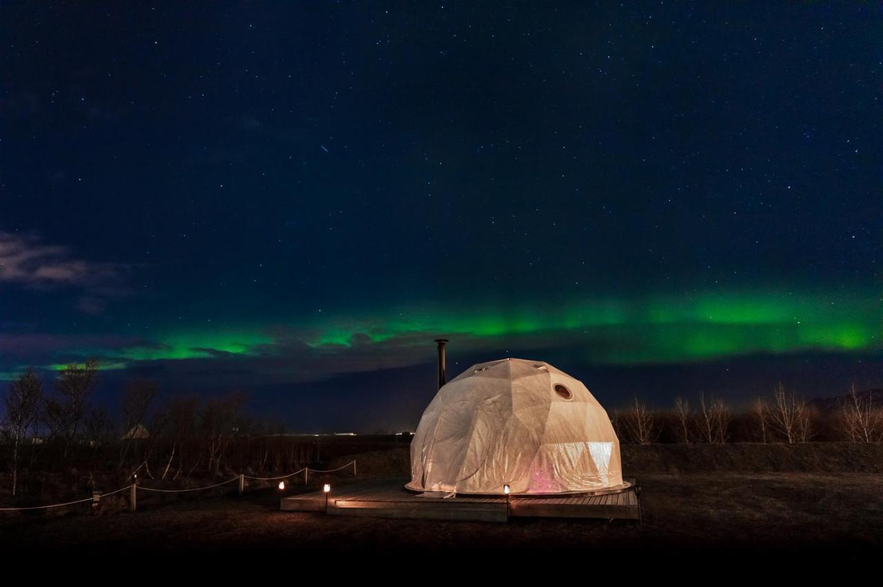 Reykjavik Domes Hotell Eksteriør bilde