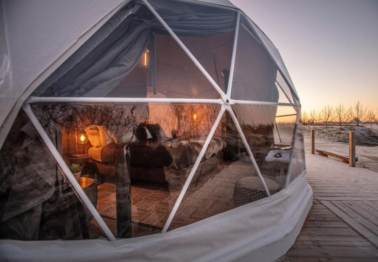 Reykjavik Domes Hotell Eksteriør bilde